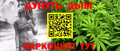 индика Славгород