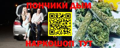 индика Славгород