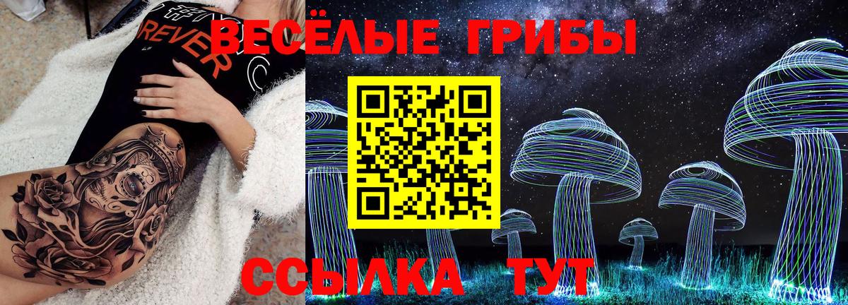 Первоуральск  Псилоцибиновые грибы мицелий  Вход с VPN 